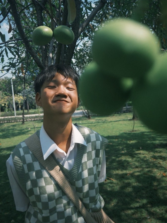 อัศวินยิ้มในสวน สวมเสื้อกั๊กลายตาราง
